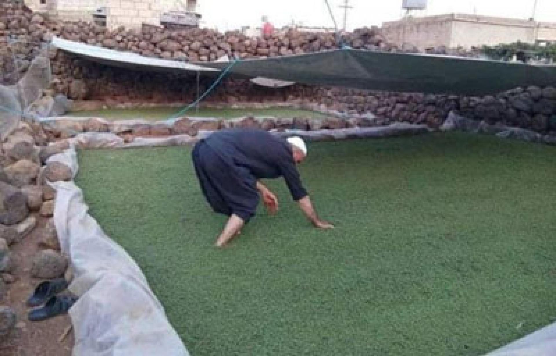 سورية اليوم اقتصاد سورية زراعة الأزولا في السويداء كبديل علفي بعد ارتفاع أسعاره